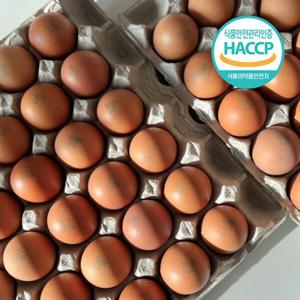 [신선보장] 48시간 오래구워 쫄깃한 구운란(대란) 30구~