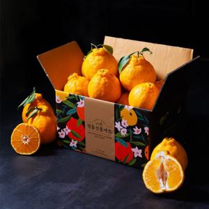 당도선별 제주 한라봉 2kg 중과 대과