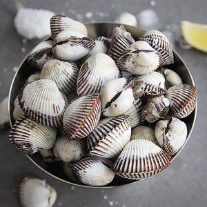 [APP전용]새꼬막 2kg 여수 벌교 꼬막/사이즈 소~대