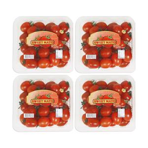 꿀 바른듯 스테비아 레드 방울토마토 스윗마토 토망고 2kg(500g/*4팩)