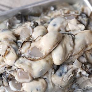 당일조업 통영에서 온 탱글한 제철 생굴 햇 굴 중대굴 깐굴 1kg外 빙장포장
