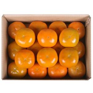 [GAP인증]25년 진영 햇단감 3kg/5kg 4종 택1