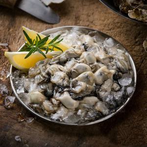 [산지직송] 신선한 통영 생굴 상급 1kg/2kg/3kg