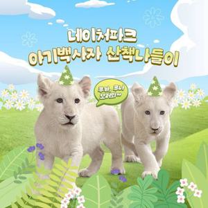 [대구] 네이처파크 미라클크리스마스 입장권(12/1~)