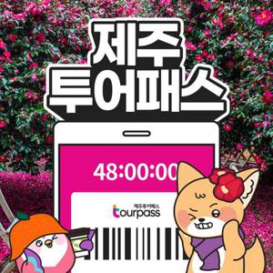 [제주] 제주투어패스 / 48시간 프리패스 여행 체험 관광지 실내 액티비티 카트 승마 공연