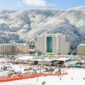 [슈퍼트립] 소노벨 비발디파크 객실+오션월드 3인 패키지