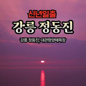 [신년일출] 강릉 정동진, 대관령양떼목장 해맞이 무박여행