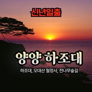 [신년일출] 양양 하조대, 오대산 월정사&전나무숲길 무박여행
