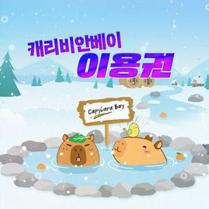 [용인] 로시즌 캐리비안베이 이용권(~26/3/2)