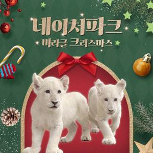 [대구] 네이처파크 미라클크리스마스 입장권(12/1~)