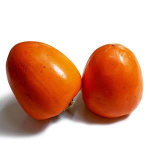 대봉감 홍시 곶감용 대봉시 대봉 연시 단감