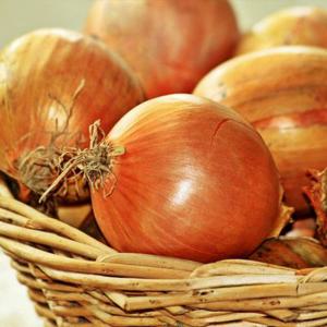 산지직송 김천 달큰한 햇 양파 5kg (중, 대)