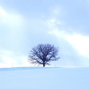 [슈퍼트립] 홋카이도 자유여행 3박 4일, 3大온천, 노보리베츠 석수정 온천호텔 1박 + 시내 4성급 2박 숙박