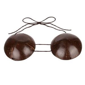 코코넛 브라 하와이안 소품