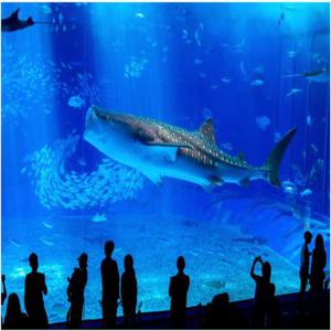 [즉시확정] 일본 오키나와 츄라우미 토쿠토쿠 5패스(추라우미 수족관+4개시설 방문 선택)도쿠도쿠