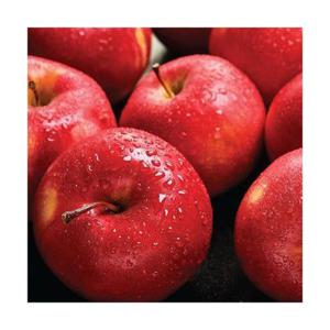 [신선과일] 중대과 경북 햇 부사 사과 5kg (19-22과) 가정용