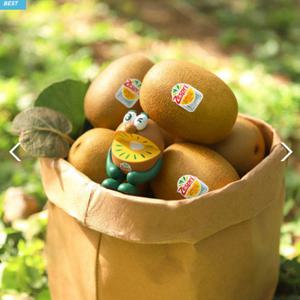 [항공급송] 고당도 제스프리 골드키위[제주산] 2.8kg~5.7kg [특대과/점보]