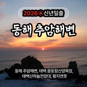 [신년일출] 동해 추암해변, 태백 몽토랑산양목장, 태백산하늘전망대, 황지연못 무박여행