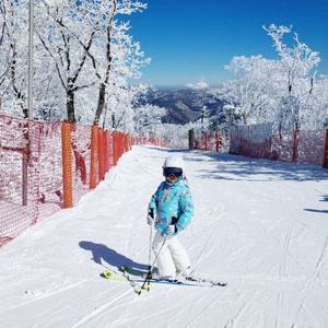 하이원리조트 스키강습 보드강습 2시간 강습권 1인~4인