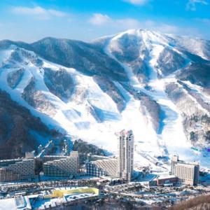 [슈퍼트립] 평창 휘닉스파크 객실+썰매 or 스키 PKG, 겨울 극성수기 시즌1/2 얼리버드