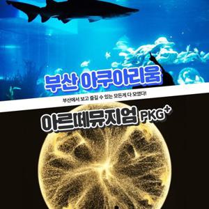 아르떼뮤지엄 부산+씨라이프 부산 아쿠아리움PKG