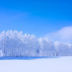 삿포로 자유여행 3박 4일, 시내 위치 호텔 스스키노역 도보 5분거리 위치