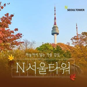 [남산] N서울타워 전망대 이용권