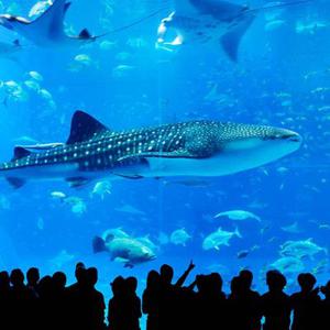 [트립ON] 오키나와 자유여행 3일/4일, 나하 도심과 공항에서 가까운 머큐어 호텔 오키나와 나하 숙박