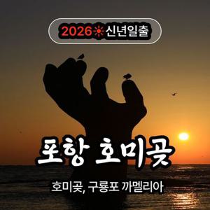 [신년일출] 포항 호미곶, 구룡포 무박여행