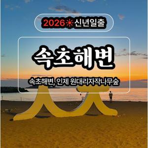 [신년일출] 속초해변, 인제 원대리자작나무숲 무박여행