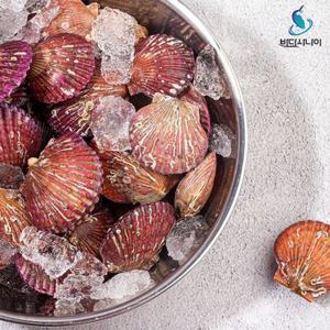 [APP전용]2025년 제철 가리비 출하//당일조업 2회 세척 국내산 통영 홍가리비(키로당 20-25미내외) 1kg~8kg