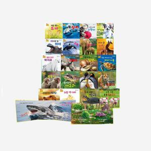 NEW 세이펜통통 자연동화 자연관찰 세이펜 호환+권장도서2권