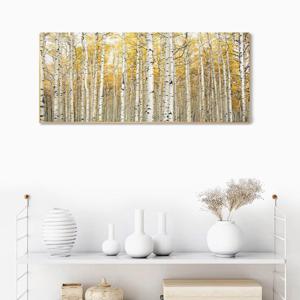 Sm3301자작나무 숲 와이드 10종-캔버스천 메탈프레임액자/재물운 풍수에좋은그림