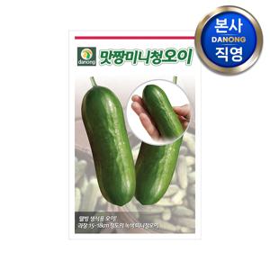 맛짱 미니 청오이 씨앗 10립 . 야채 채소 텃밭 파종 재배 주말 농장 씨 종자