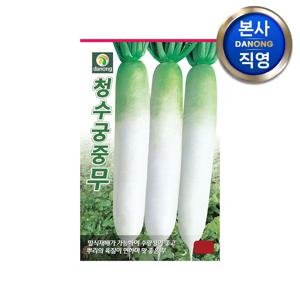 청수궁중 무씨앗 30g . 무말랭이 단무지용 야채 채소 텃밭 재배 파종 씨 종자