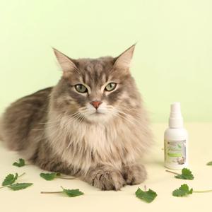 펫토리아 고양이 캣닢 스프레이 50ml