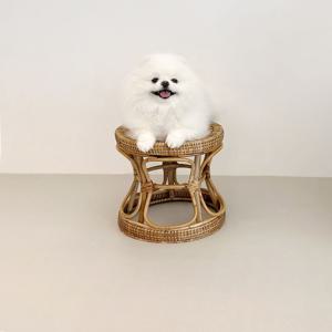 미끄럼방지 반려동물 롤매트 강아지 고양이 매트