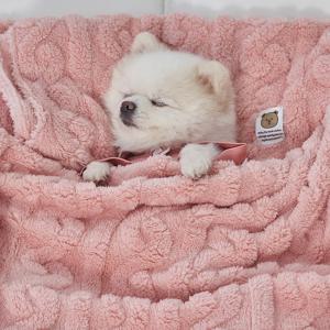 강아지 고양이 반려동물 펫 꽈배기 담요 겸 이불 베이비핑크 (DG422_BP)