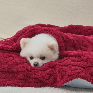 강아지 고양이 반려동물 펫 꽈배기 담요 겸 이불 버건디 (DG422_BG)