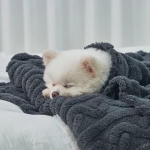 강아지 고양이 반려동물 펫 꽈배기 담요 겸 이불 다크그레이 (DG422_DG)
