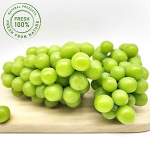 고당도 청포도 샤인머스켓 2kg (3-4송이)