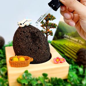 실내 스톤디퓨저 제주현무암 화장실 방향제 애완돌 펫스톤 인테리어 오브제 소품