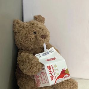 포근하곰 곰돌이 베어 쿠션 베개 애착 바디필로우 36cm / 47cm