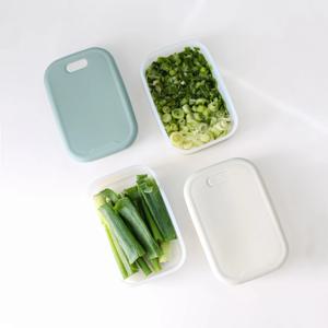 국산 실리콘 냉동용기 냉동실정리 전자레인지용기 2P 세트