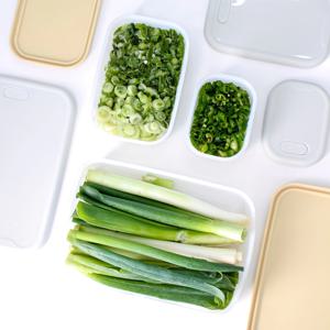 국산 실리콘 냉동용기 냉동실정리 전자레인지용기 5P 세트