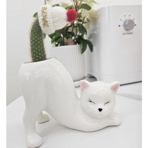 고양이화분 완성품 모자랜덤 원숭이꼬리 선인장 인테리어 카페소품 데코 개업화분