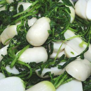 국내산 절임 알타리무 5kg 김장 절인 총각무