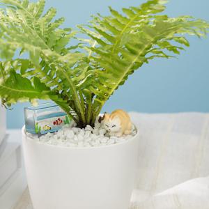 어항고양이 미니어처 피규어 미니어쳐 테라리움 장식