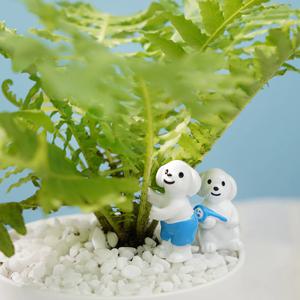 말티즈강아지 미니어처 피규어 미니어쳐 테라리움 장식