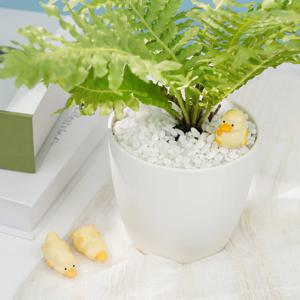 오리너구리 미니어처 피규어 미니어쳐 테라리움 장식